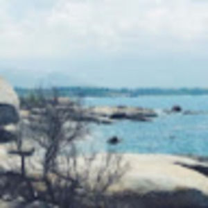 Meet your Posher, Anne-marie